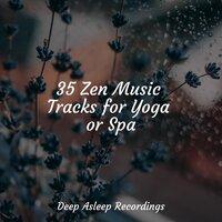 35 Zen Music Tracks for Yoga or Spa