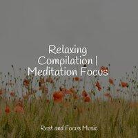 Relaxing Compilation | Meditation Focus