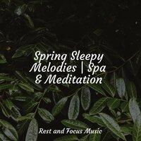 Spring Sleepy Melodies | Spa & Meditation
