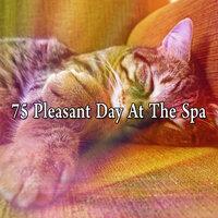 75 Pleasant Day At The Spa