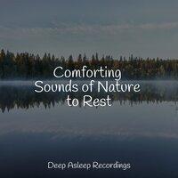 Comforting Sounds of Nature to Rest