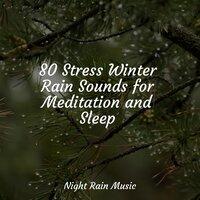 80 Stress Winter Rain Sounds for Meditation and Sleep