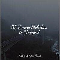 35 Serene Melodies to Unwind
