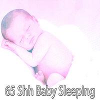 65 Shh Baby Sleeping