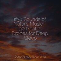 #30 Sounds of Nature Music - 30 Gentle Drones for Deep Sleep