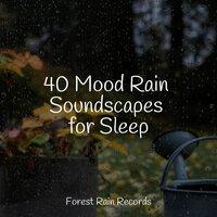40 Mood Rain Soundscapes for Sleep
