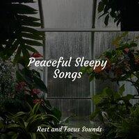 Peaceful Sleepy Songs