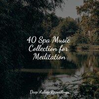 40 Spa Music Collection for Meditation
