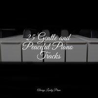 25 Gentle and Peaceful Piano Tracks