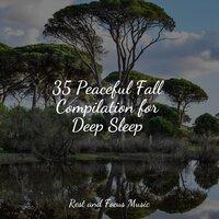 35 Peaceful Fall Compilation for Deep Sleep