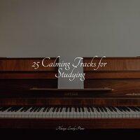 25 Calming Tracks for Studying