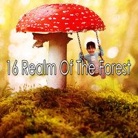 16 Царство леса