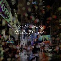 25 Soothing Delta Waves