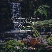 Comforting Nature Infused Melodies | Sleep and Relaxation