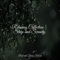 Relaxing Collection | Sleep and Serenity