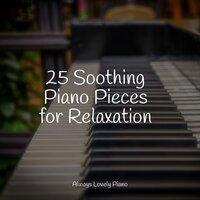 25 Soothing Piano Pieces for Relaxation