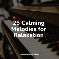 25 Calming Melodies for Relaxation