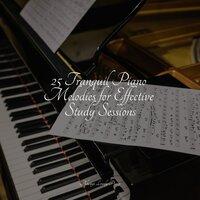 25 Tranquil Piano Melodies for Effective Study Sessions
