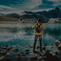 Deeply Soothing Sounds | Meditation