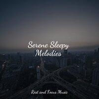 Serene Sleepy Melodies
