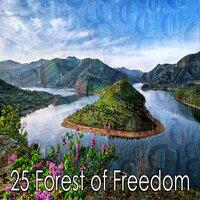25 Лес свободы