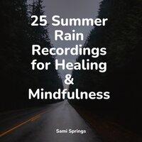 25 Summer Rain Recordings for Healing & Mindfulness