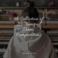 A Collection of 25 Tranquil Piano Compositions