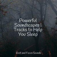 Powerful Soundscapes | Tracks to Help You Sleep