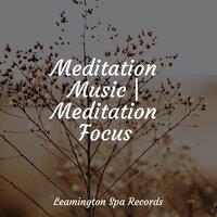 Meditation Music | Meditation Focus