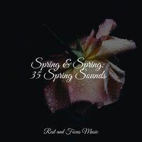 Spring & Spring: 35 Spring Sounds