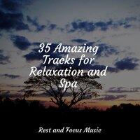 35 Amazing Tracks for Relaxation and Spa
