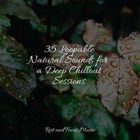 35 Loopable Natural Sounds for a Deep Chillout Sessions