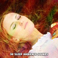 56 Sleep Ambience Sounds