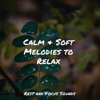 Calm & Soft Melodies to Relax