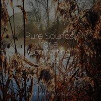 Pure Sounds for a Comforting Mind