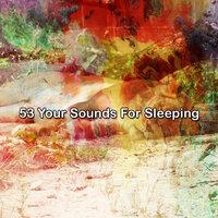 53 Your Sounds For Sleeping