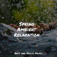 Spring Ambient Relaxation