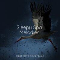 Sleepy Spa Melodies