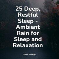 25 Deep, Restful Sleep - Ambient Rain for Sleep and Relaxation