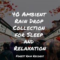 40 Ambient Rain Drop Collection for Sleep and Relaxation