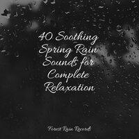40 Soothing Spring Rain Sounds for Complete Relaxation