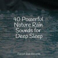 40 Powerful Nature Rain Sounds for Deep Sleep