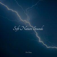 Soft Nature Sounds