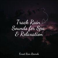 Track Rain Sounds for Spa & Relaxation