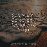 Spa Music Collection | Meditation & Yoga