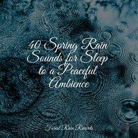 40 Spring Rain Sounds for Sleep to a Peaceful Ambience