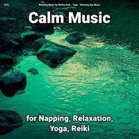 zZZz Calm Music for Napping, Relaxation, Yoga, Reiki