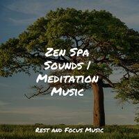 Zen Spa Sounds | Meditation Music