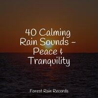40 Calming Rain Sounds - Peace & Tranquility