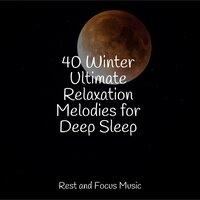 40 Winter Ultimate Relaxation Melodies for Deep Sleep